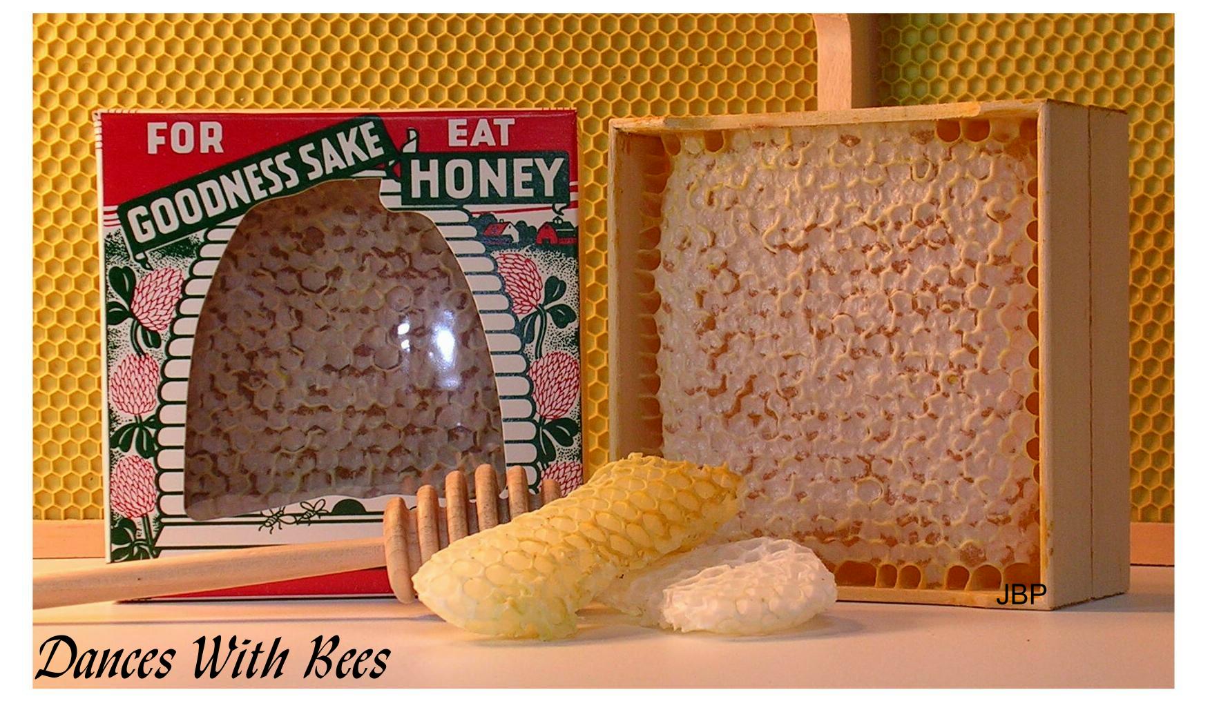 Dances With Bees photo 30