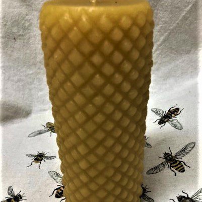Candle surrounded by bee illustrations